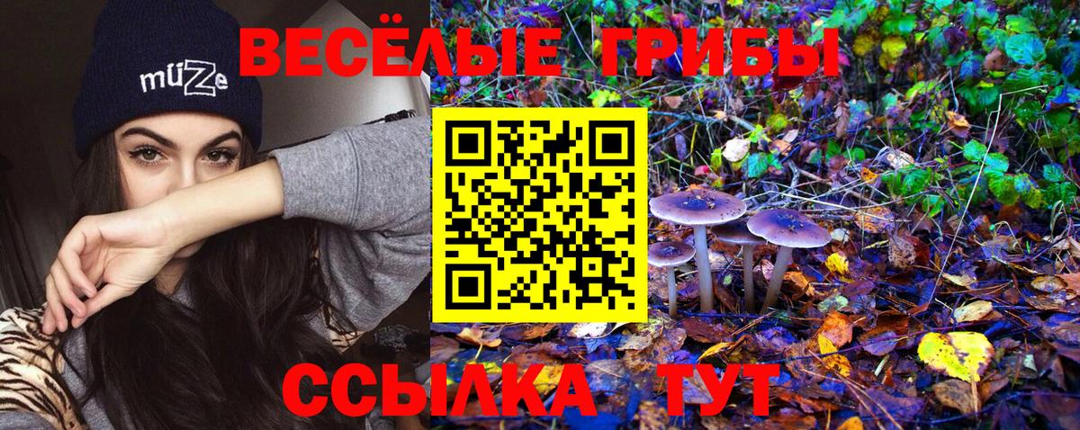 Псилоцибиновые грибы ЛСД Кимры