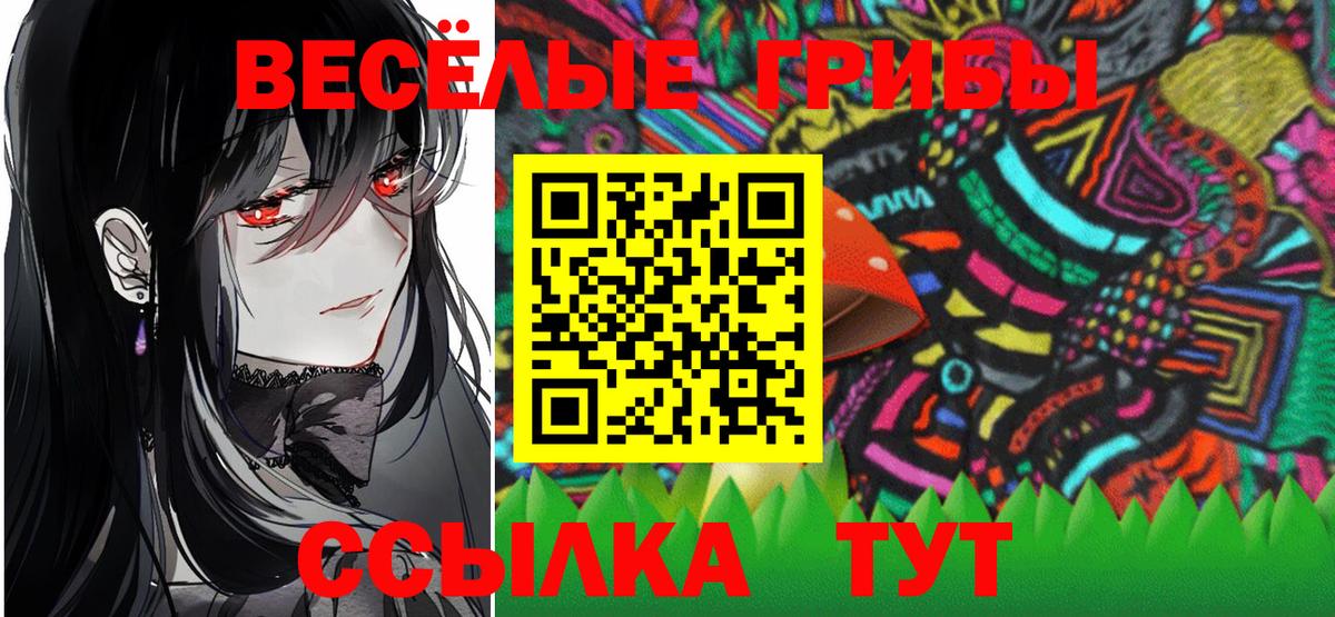 Псилоцибиновые грибы Cubensis  Вход с VPN  Кимры 